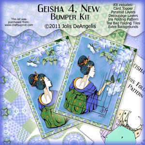 Options Bumper Kit Geisha 4, New