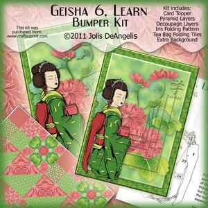 Options Bumper Kit Geisha 6, Learn