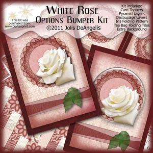 White Rose Options Bumper Kit