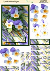 Pansies I