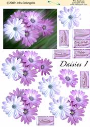Daisies I