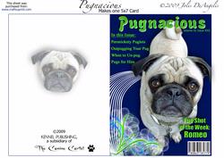 Pugnacious