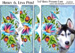 Husky 6, Lena Peek! 5x7 Pyramid Card