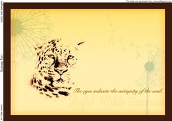 Leopard Eyes A4 Card Topper
