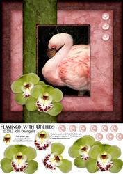 Flamingo with Orchids 8x8 Step by Step Card