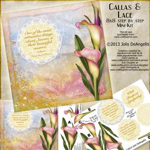 Callas & Lace, 8x8 Step by Step Mini-kit