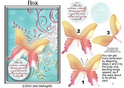 Risk
