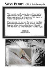 Swan Beauty