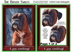 The Boxer Smiles