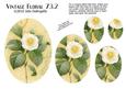 Vintage Floral 73.2 Camellia