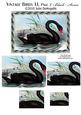 Vintage Birds 1.1, Black Swan