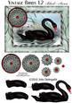 Vintage Birds 1.2, Black Swan