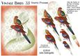 Vintage Birds 3.1, Tropical Birds 1