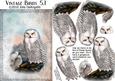 Vintage Birds 5.1, Snowy Owl