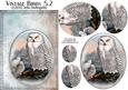 Vintage Birds 5.2, Snowy Owl