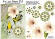 Vintage Birds 15.1, Blue-winged Warbler