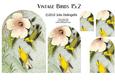 Vintage Birds 15.2, Blue-winged Warbler