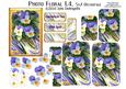 Photo Floral 1.4, Pansies