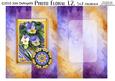 Photo Floral 1.2, Pansies
