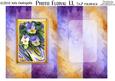 Photo Floral 1.1, Pansies