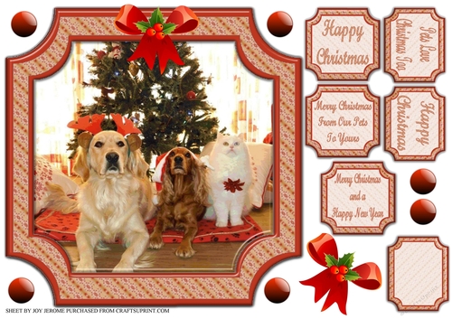 JJ PETS LOVE CHRISTMAS TOO 8x8