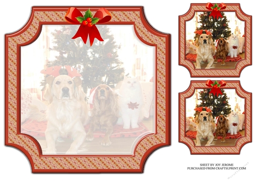 JJ PETS LOVE CHRISTMAS TOO 8x8 INSERT1 BLANK