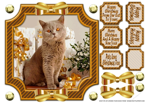 JJ PETS LOVE CHRISTMAS TOO GOLDEN CAT 8X8 CARD