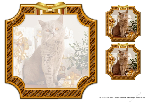 JJ PETS LOVE CHRISTMAS TOO GOLDEN CAT INSERT BLANK