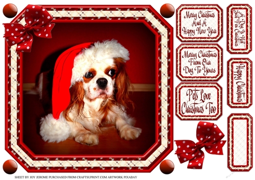 JJ PETS LOVE CHRISTMAS TOO SPANIEL 8X8