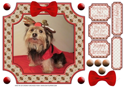  JJ PETS LOVE CHRISTMAS TOO YORKIE