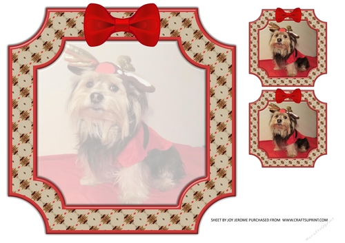 JJ PETS LOVE CHRISTMAS TOO YORKIE INSERT BLANK