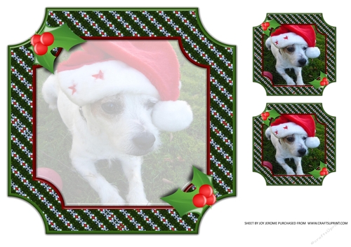 JJ PETS LOVE CHRISTMAS TOO JACK RUSSELL 8X8 INSERT BLANK