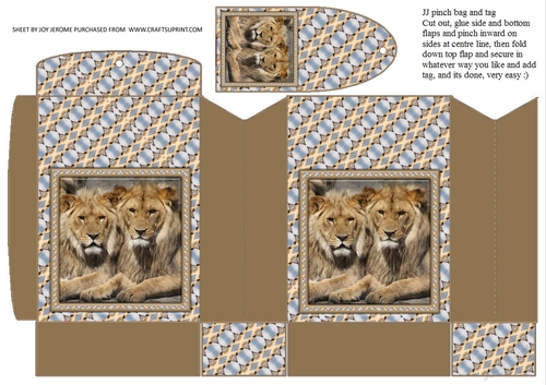 JJ FRIENDS FOREVER LIONS PINCH BAG AND TAG