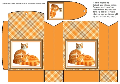JJ GINGER CATS PINCH BAG AND TAG