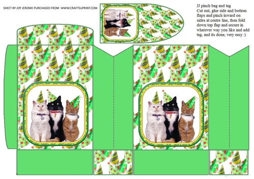 JJ PARTY ANIMALS CATS PINCHBAG AND TAG1