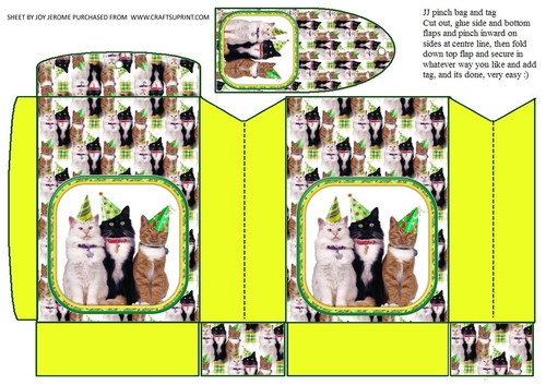 JJ PARTY ANIMALS CATS PINCHBAG AND TAG2