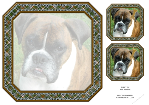 JJ BOXER PUPPY INSERT 8X8 HAPPY BIRTHDAY