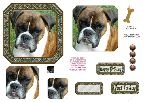 JJ BOXER PUPPY 5X5 PYRAMAGE