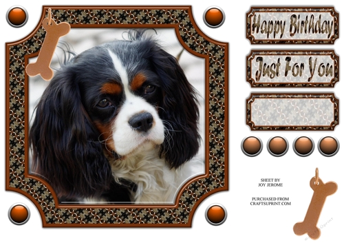  JJ CAVALIER KING CHARLES SPANIEL 8X8