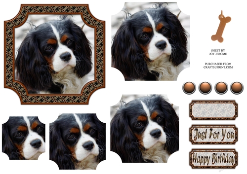 JJ CAVALIER KING CHARLES SPANIEL 5x5 PRAMAGE
