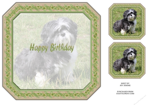  JJ SHIH TZU 8X8 2 INSERT HAPPY BIRTHDAY