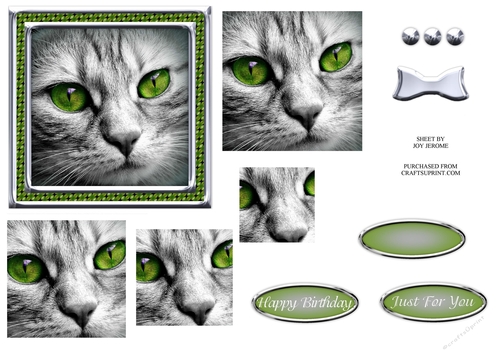 JJ CAT FULL FACE 5X5 6