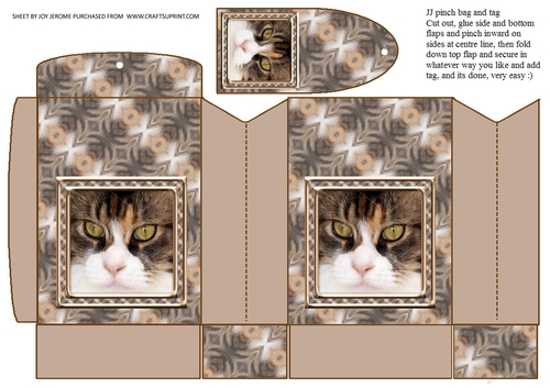 JJ CAT FULL FACE 1 PINCH BAG AND TAG PINCH BAG AND TAG