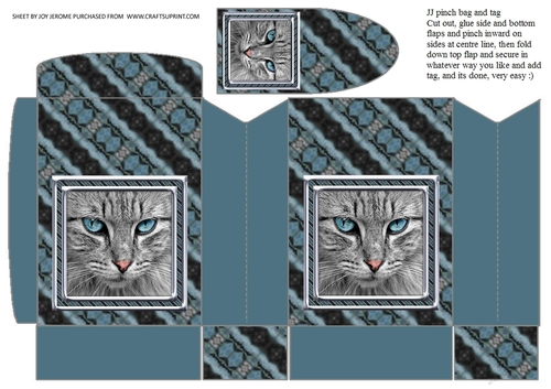 JJ CAT FULL FACE 2 PINCH BAG AND TAG PINCH BAG AND TAG