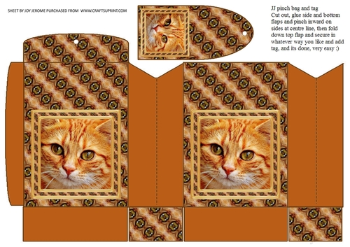 JJ CAT FULL FACE 3 PINCH BAG AND TAG PINCH BAG AND TAG