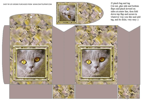 JJ CAT FULL FACE 4 PINCH BAG AND TAG PINCH BAG AND TAG