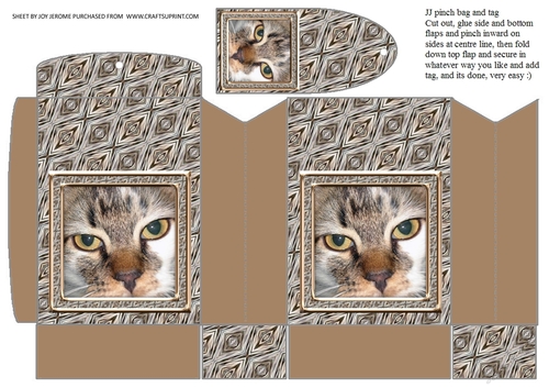 JJ CAT FULL FACE 5 PINCH BAG AND TAG PINCH BAG AND TAG