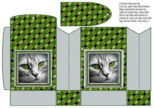 JJ CAT FULL FACE 6 PINCH BAG AND TAG PINCH BAG AND TAG