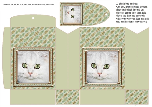 JJ CAT FULL FACE 8 PINCH BAG AND TAG PINCH BAG AND TAG