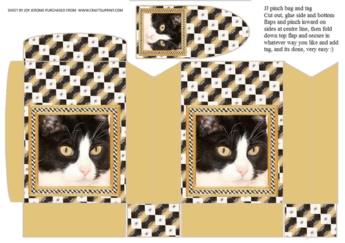 JJ CAT FULL FACE 9 PINCH BAG AND TAG PINCH BAG AND TAG